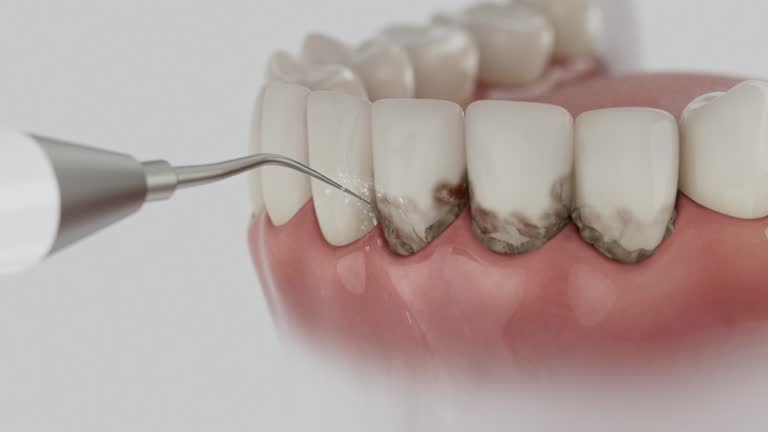 Reliable Dental contractor in Jennings County County, IN by Dentist Open Now